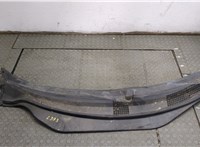 04894160AG Жабо под дворники (дождевик) Chrysler Pacifica 2003-2008 20315679 #1