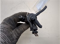  Форсунка топливная Renault Scenic 2009-2012 20316123 #3