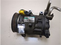  Компрессор кондиционера Peugeot 407 20316623 #1