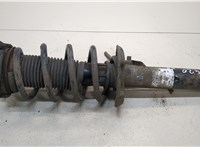  Амортизатор подвески Audi A3 (8P) 2008-2013 20317339 #1