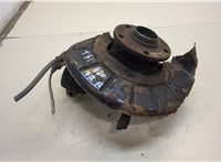  Ступица (кулак, цапфа) Audi A3 (8P) 2008-2013 20317406 #1