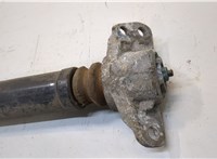  Амортизатор подвески Audi A3 (8P) 2008-2013 20317454 #2