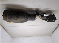 28107572A Амортизатор подвески Land Rover Range Rover 3 (LM) 2002-2012 20317471 #5