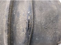  Амортизатор подвески Land Rover Discovery 3 2004-2009 20317753 #5