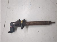 LR006496 Форсунка топливная Land Rover Range Rover Sport 2005-2013 20317869 #6