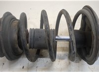  Амортизатор подвески BMW Z3 20317897 #4