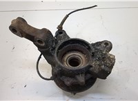  Ступица (кулак, цапфа) Land Rover Freelander 1 1998-2007 20317976 #1