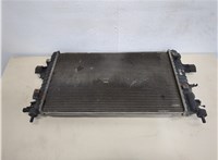  Радиатор охлаждения двигателя Opel Astra H 2004-2010 20318050 #1