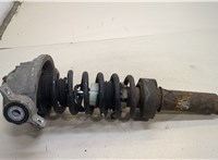  Амортизатор подвески Volkswagen Touareg 2007-2010 20318056 #1