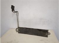  Радиатор АКПП Volkswagen Touareg 2007-2010 20318077 #1