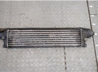  Радиатор интеркулера Jaguar X-type 20318358 #2