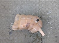  Бачок расширительный Ford EcoSport 2017- 20318613 #2