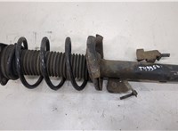  Амортизатор подвески Ford Focus 2 2008-2011 20318615 #1