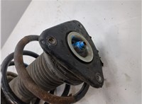 4M5118045PAD Амортизатор подвески Ford Focus 2 2008-2011 20318615 #4