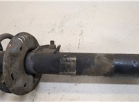  Амортизатор подвески Audi A3 (8P) 2004-2008 20318741 #3