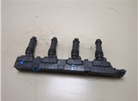  Катушка зажигания Opel Corsa C 2000-2006 20318760 #1