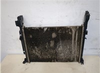 A4155000002 Радиатор охлаждения двигателя Mercedes Citan 20318892 #1