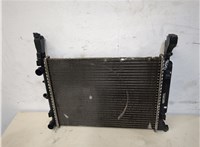 A4155000002 Радиатор охлаждения двигателя Mercedes Citan 20318892 #7